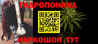 СК Рязань