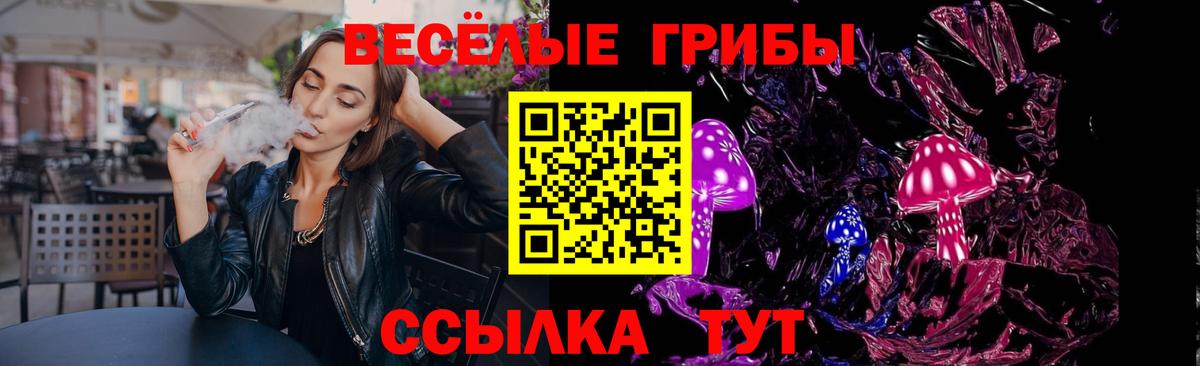 Сальск  Галлюциногенные грибы Psilocybe  Вход с VPN 
